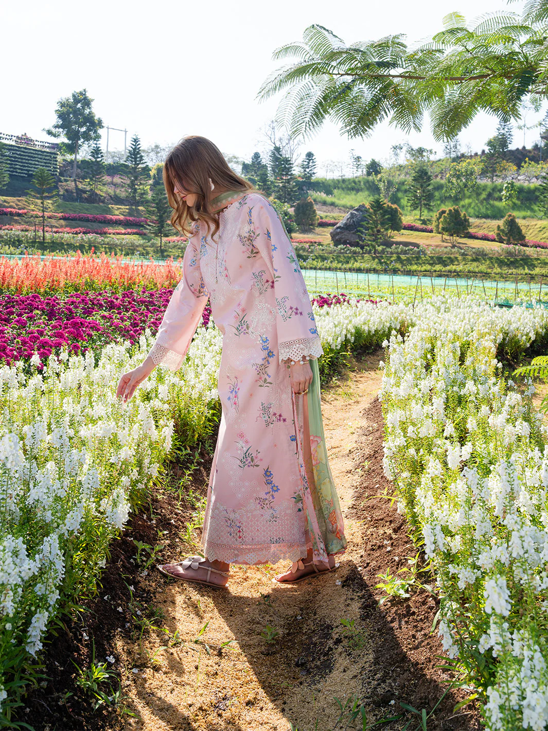 Blush Meadow - Image 5