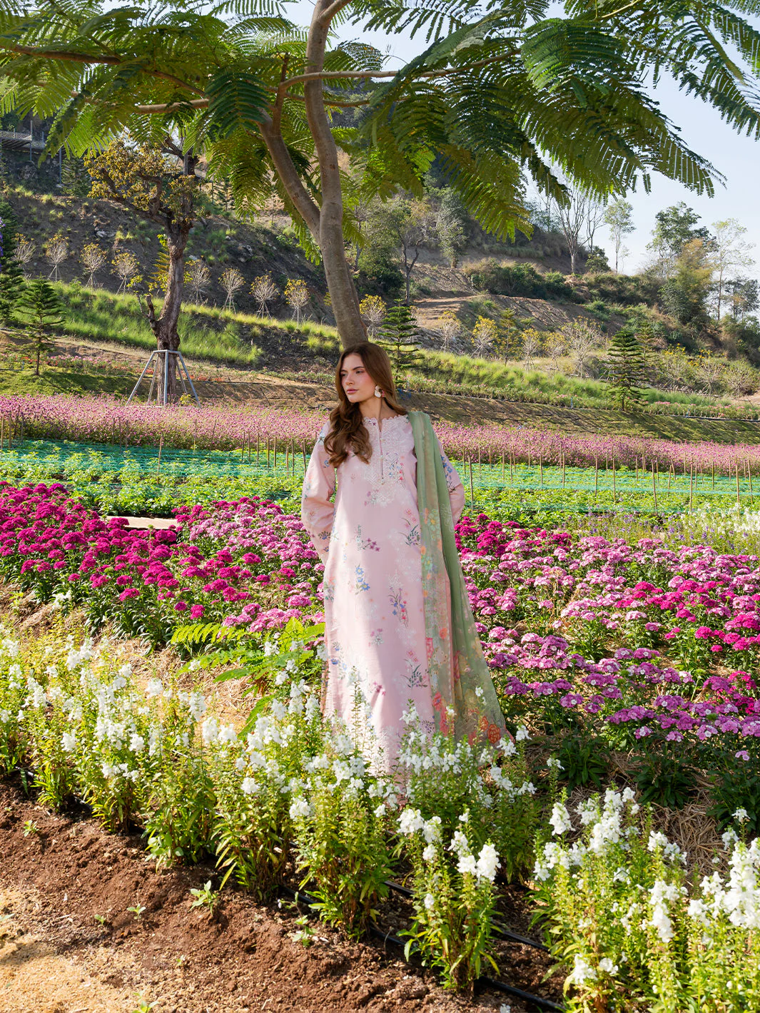 Blush Meadow - Image 7