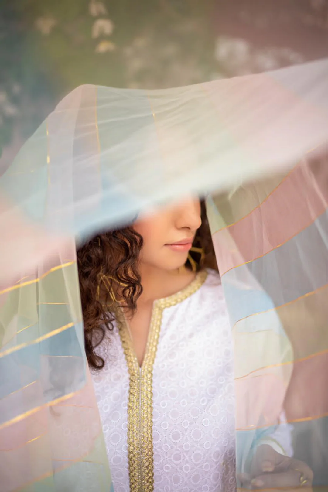 Organza Multi Coloured Dupatta - Image 4