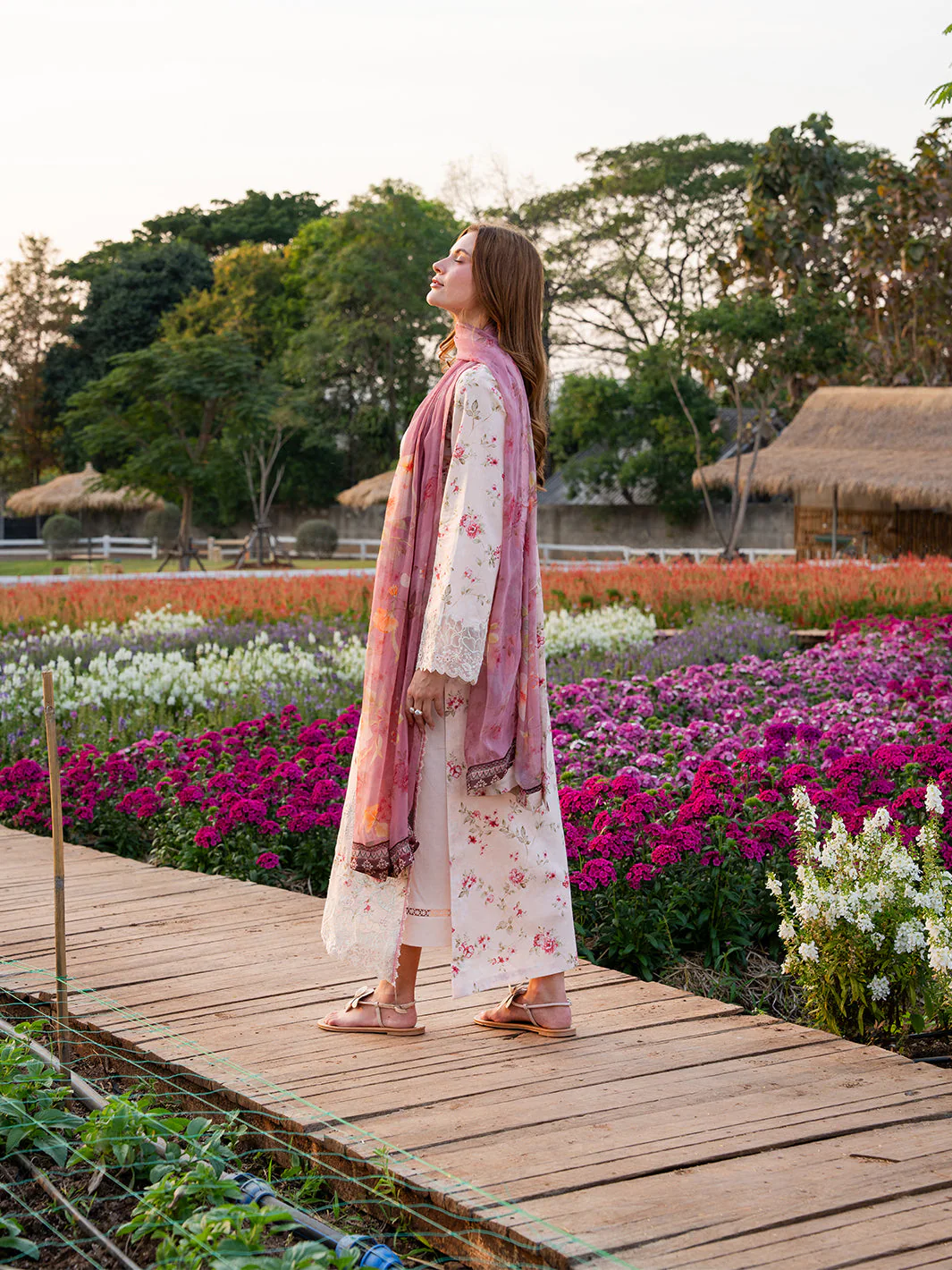 Rosewater - Image 3