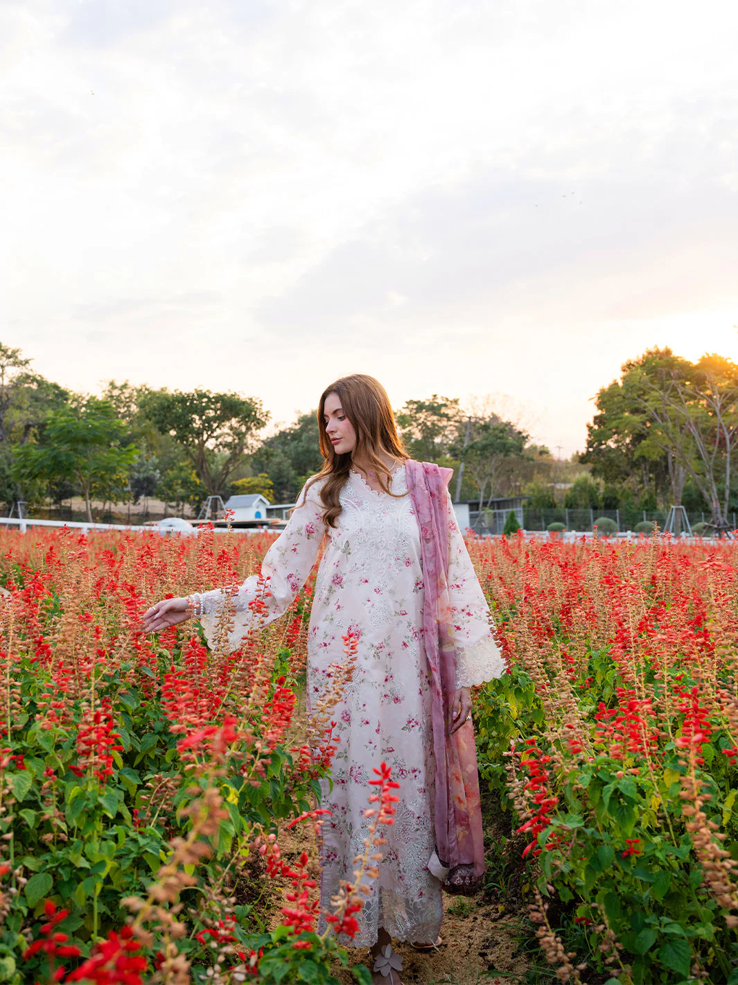 Rosewater - Image 7